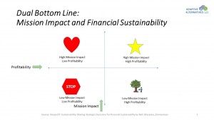 Mission Impact and Financial Sustainability