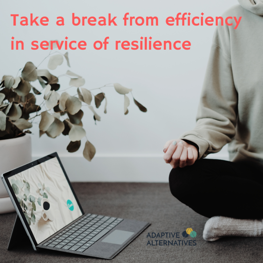 Take a break from efficiency in service of resilience
